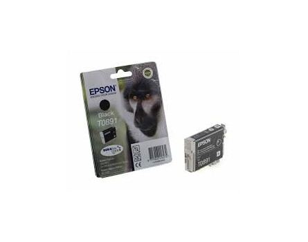 Epson T0891 magazin, C13T08914011 - eredeti (fekete)