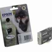 Epson T0891 magazin, C13T08914011 - eredeti (fekete)